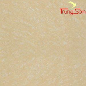 Gạch đồng tâm 6060marmol002