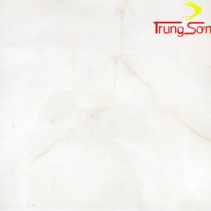 gạch đồng tâm 3030ngoctrai002