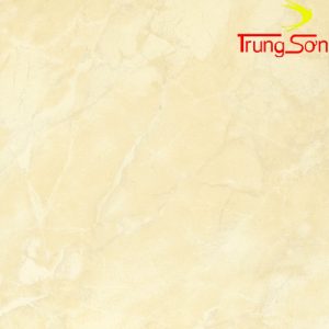 gạch đồng tâm 4040-469