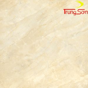 gạch đồng tâm 4040-475