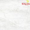 gạch đồng tâm 100rome002-h+