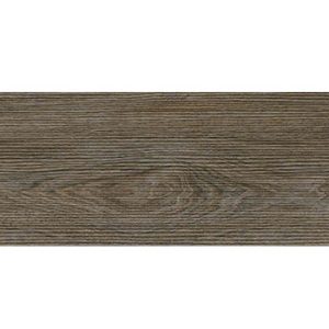 gạch đồng tâm 1560wood011