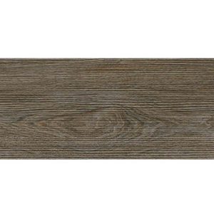 gạch đồng tâm 2080wood011